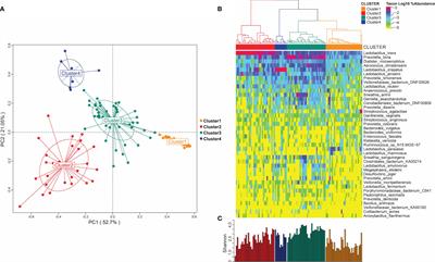 Correlation Analysis of Vaginal Microbiome Changes and Bacterial Vaginosis Plus Vulvovaginal Candidiasis Mixed Vaginitis Prognosis